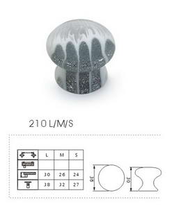210 LMS